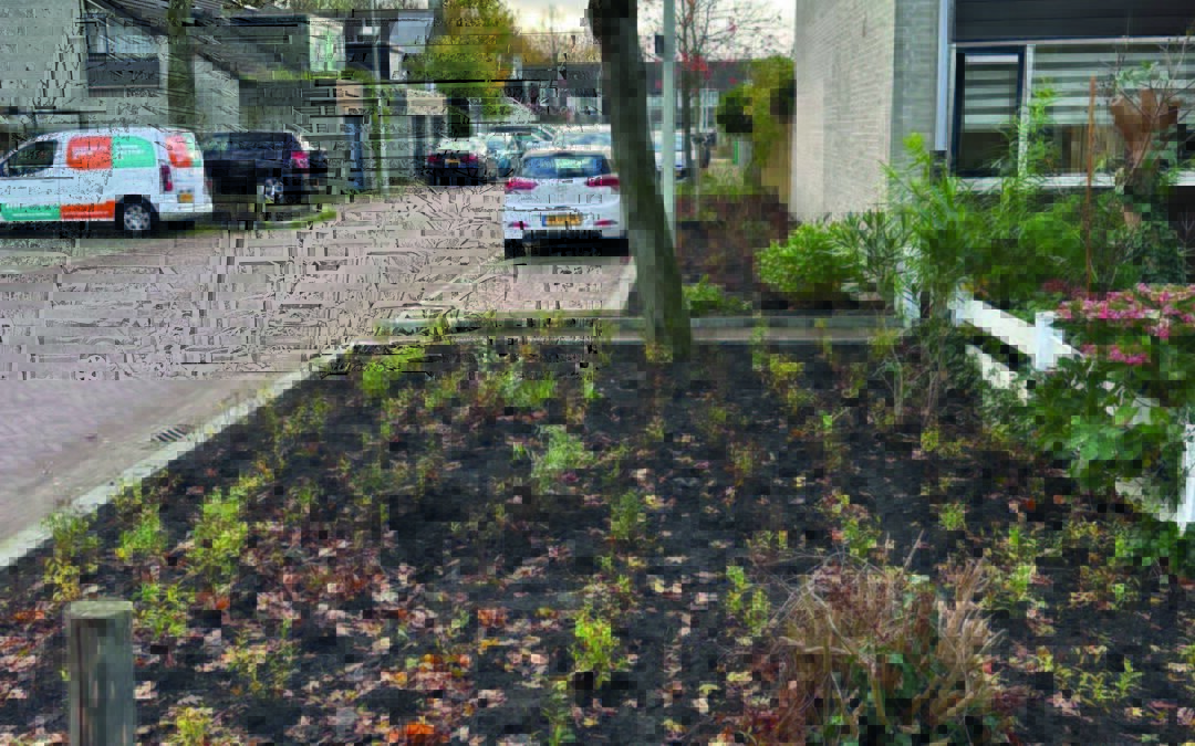 Herinrichting groenstroken Steurendaal/Karperdaal in volle gang!